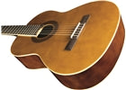 Eko Guitars - CS-10 Pack 06130060