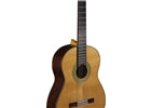 Eko Guitars - Vibra 500 Mario Gangi 06204136