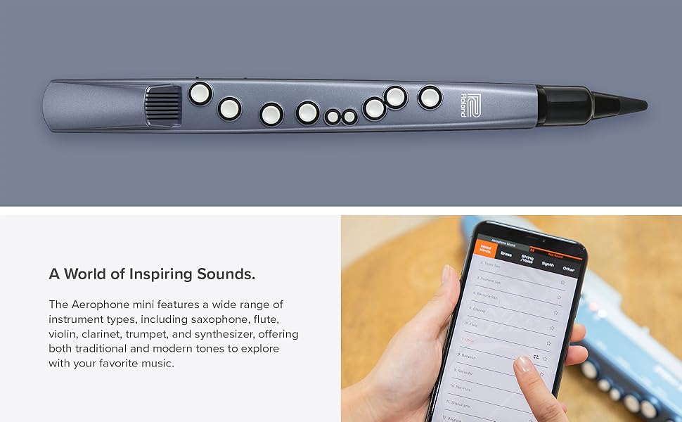 ROLAND AE-01 Aerophone mini