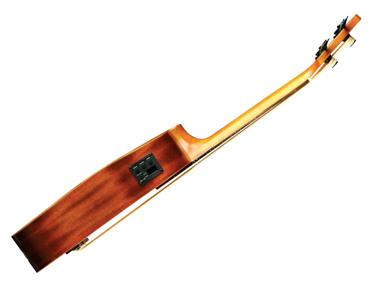 EKO Duo Ukubass Fretless