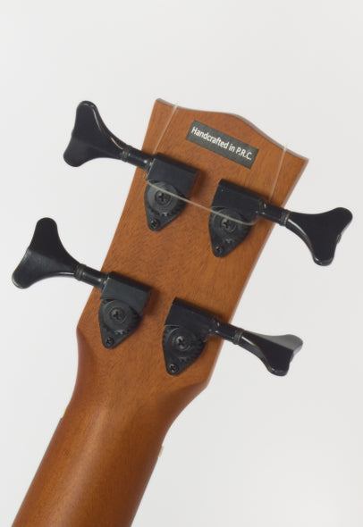 EKO Duo Ukubass Fretless