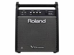 ROLAND PM-100 Personal Drum Monitor