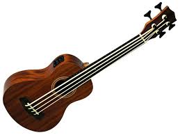 EKO Duo Ukubass Fretless