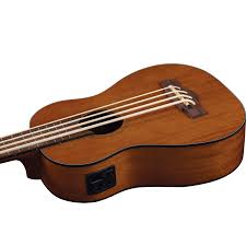 EKO Duo Ukubass Fretless