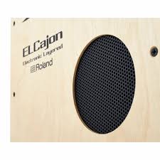 ROLAND EC10