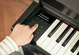 KAWAI CN301