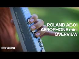 ROLAND AE-01 Aerophone mini