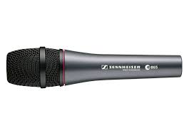 SENNHEISER e865