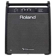 ROLAND PM-200 Personal Drum Monitor