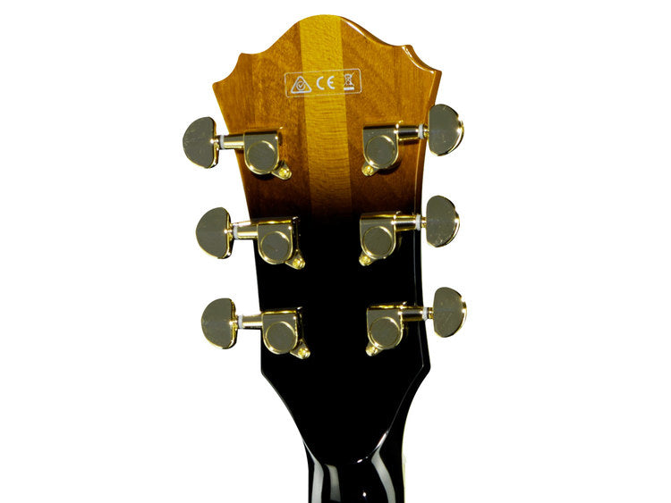 IBANEZ LGB30-VYS