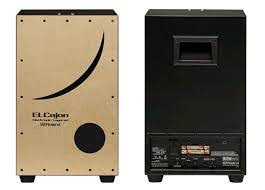 ROLAND EC10