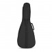 YAMAHA APXT2