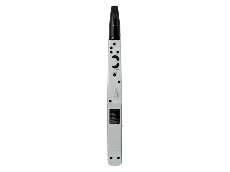 ROLAND AE-01 Aerophone mini