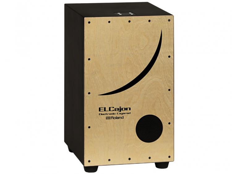 ROLAND EC10
