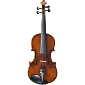 Eko Bowed Instruments EBV-A 1413 4/4 Violino con dotazione 03511040