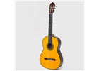 Esteve - Torres Chitarra Classica 06190136