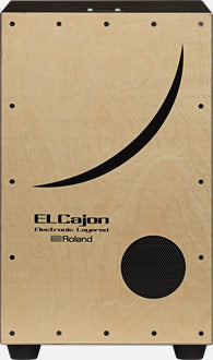 ROLAND EC10