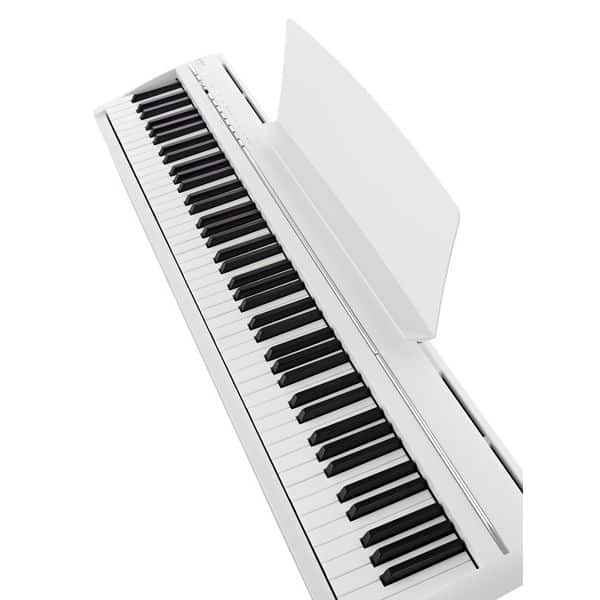 ECHORD SP10 White