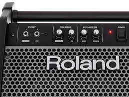 ROLAND PM-100 Personal Drum Monitor