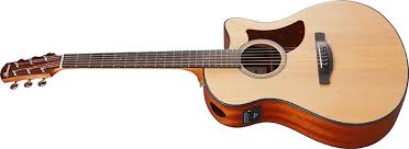 IBANEZ AAM50CE Open Pore Natural