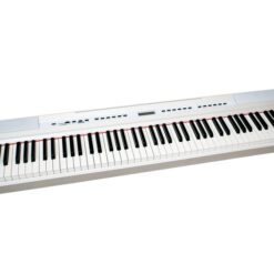 FBT ECHORD SP10 BIANCO