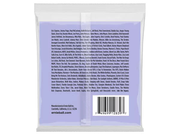 ERNIE BALL 2839 Nickel Wound