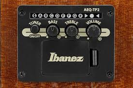 IBANEZ AAM50CE Open Pore Natural