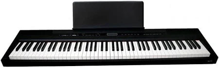 FBT ECHORD SP10 BIANCO
