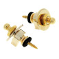 Strap Security Lock Gold