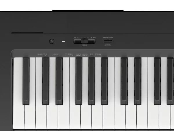 YAMAHA P145BT
