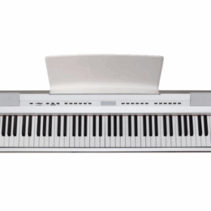 ECHORD SP10 White