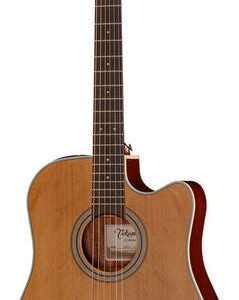 TAKAMINE GD20CENS