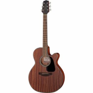 TAKAMINE GSN11MLENG