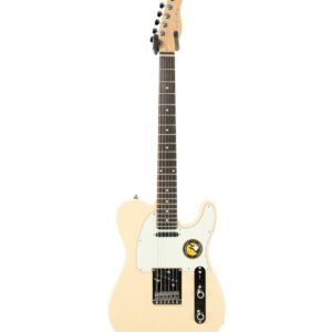 Chitarra Telecaster Larry Carlton T3
