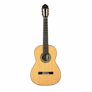 Eko Guitars - Vibra 500 Mario Gangi 06204136