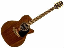 TAKAMINE GSN11MLENG - immagine 2