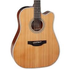 TAKAMINE GD20CENS - immagine 2