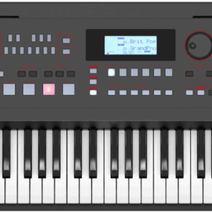 ROLAND EX50