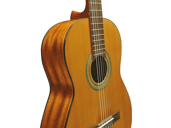 Eko Guitars - Vibra 200 Natural 06204133 - immagine 3