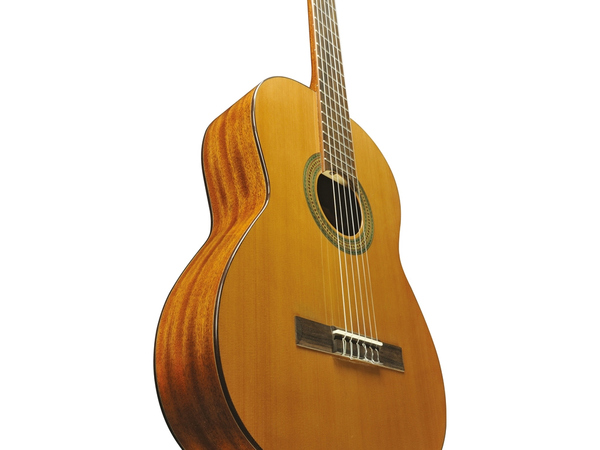 Eko Guitars - Vibra 300 Natural 06204134 - immagine 3