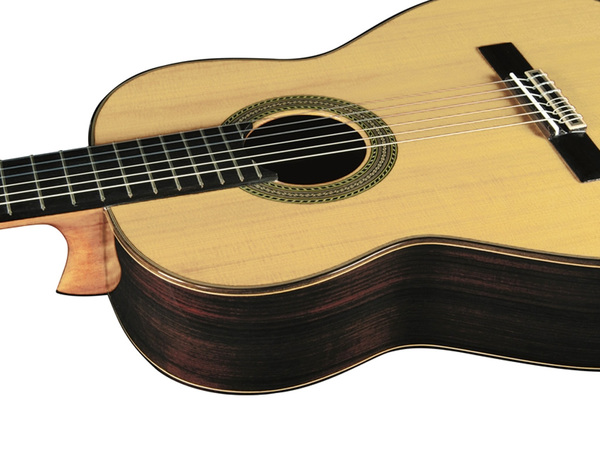 Eko Guitars - Vibra 500 Mario Gangi 06204136 - immagine 4