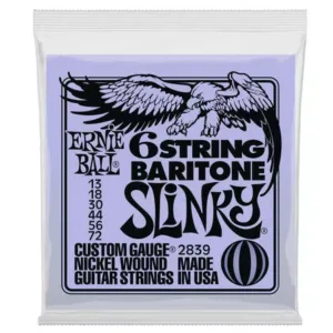ERNIE BALL 2839 Nickel Wound