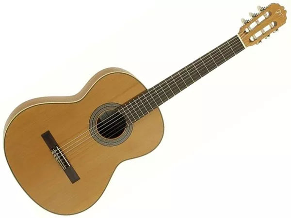 JOSE TORRES JTC5S - immagine 2