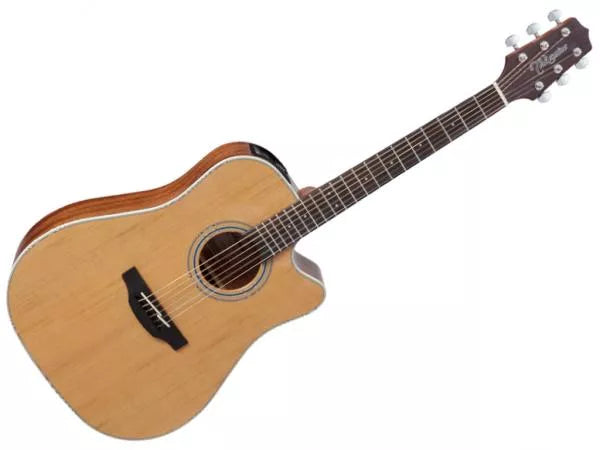 TAKAMINE GD20CENS - immagine 3