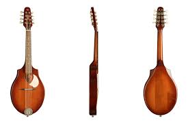SEAGULL S8 SG Seagull Acoustic Mandolin Burnt Umber - immagine 2