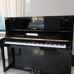 Schimmel Fridolin  Pianoforte verticale  F130 Tradition  nero lucido