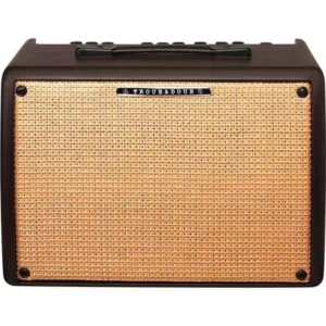 IBANEZ T30II Combo Transistor Per Chitarra Acustica
