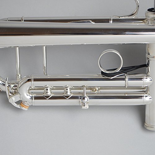 Yamaha YTR-8335GS Custom Xeno Outfit Tromba in Sib, Silver - immagine 6