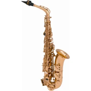 SML Paris VSM A420-II Sax 400 Contralto 14600393