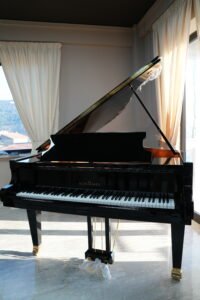 Tastiere & Pianoforti